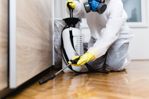Best Pest Prevention Services  in Sebastopol, CA