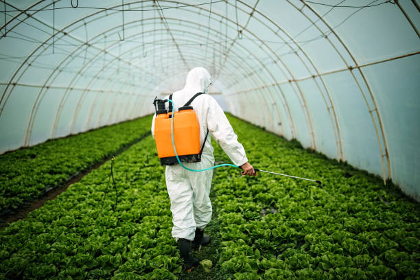Best Affordable Pest Control Services  in Sebastopol, CA