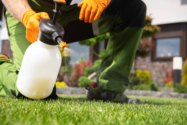 Best Local Pest Control Services  in Sebastopol, CA