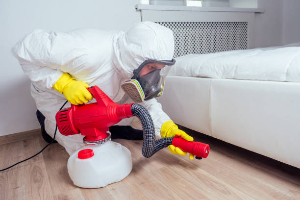 Best Mosquito Control Services  in Sebastopol, CA